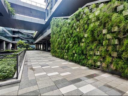 碧桂园凤凰智谷大厦