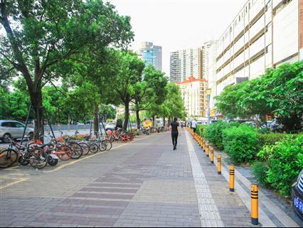 南园枫叶大厦