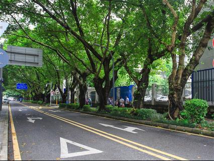 东方科技大厦