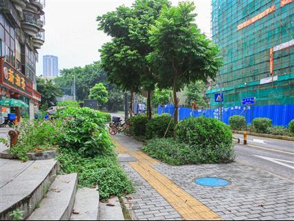 东方科技大厦